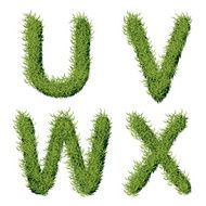 Green Grass Alphabet U V W X