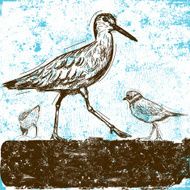 ocean birds background