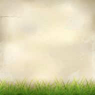 Green Grass on Plaster Wall Abstract Background