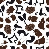 internal human body organs seamless pattern eps10