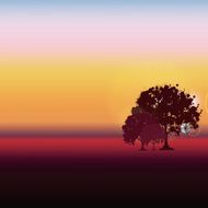 Natural Paint N2