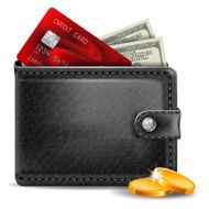 Leather Wallet N10
