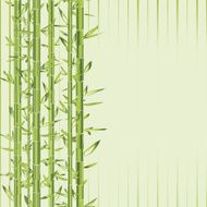green bamboo with stripe
