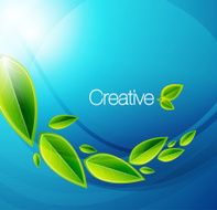 nature background N25