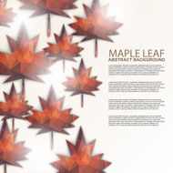 Maple leaf background