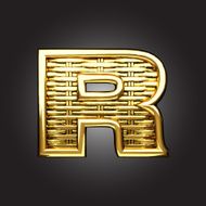 Vector golden figure r N3