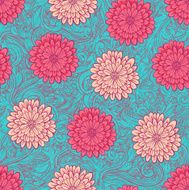 pink chrysantemums