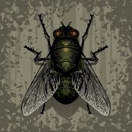 Fly N9