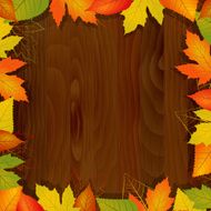wood autumn vector background
