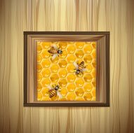 Bees and honeycombs