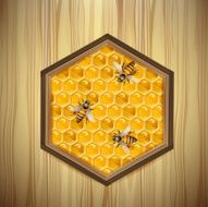 Bees and honeycombs N2