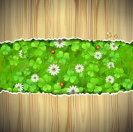 Wood background with clover N2