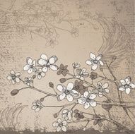 Grunge Branch Blossoms