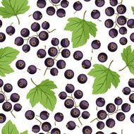 Seamless nature pattern with black currants