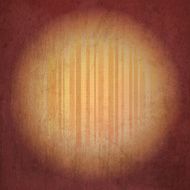 Grunge vector background N80