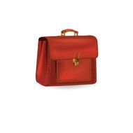 briefcase leather N5
