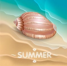 Shell on the waves N3