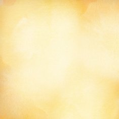 Abstract light orange watercolor background spring summer theme with copy N2