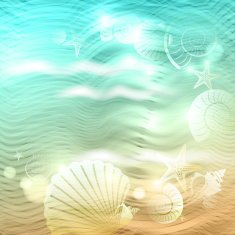 Shell on the waves N6