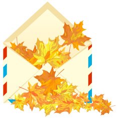 Autumn Maple Leaves Background N10