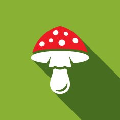 Amanita icon Vector Illustration N2