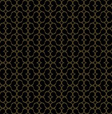 Vintage vector background N13