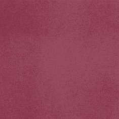 Vector canvas Burgundy color