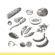 Ink hand drawn fruits and vegetables set N4