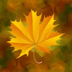 Autumn Leaf N13