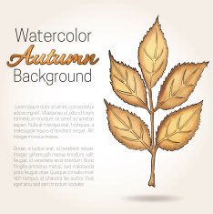 Watercolor Autumn Background with Painted Walnut Leaf and Copy Space