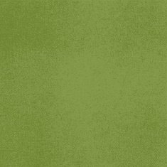 Vector canvas Light green color