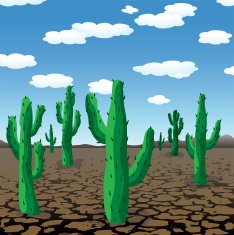 vector cactuses in desert