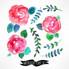 Watercolor leaves and flowers - 2 N2