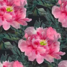 Peonies N16