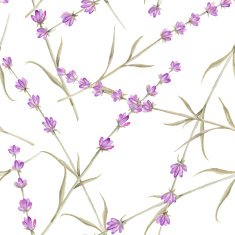 Watercolor pattern with Lavender N2