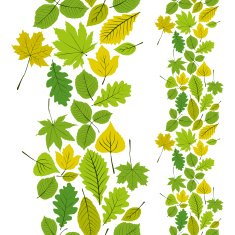 Leaves seamless wallpaper background natural endless pattern
