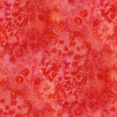 watercolor N216