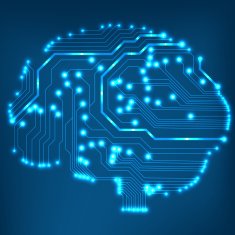 Circuit board computer brain Vector illustration N7