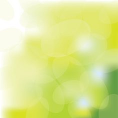 Abstract bokeh background N10