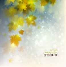Autumn sky N4