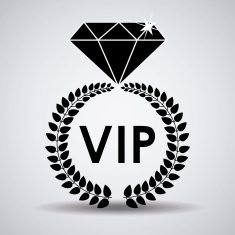 VIP design vector illustration N23