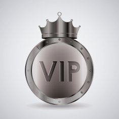 VIP design vector illustration N24