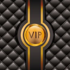 VIP design vector illustration N31