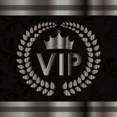 VIP design vector illustration N34