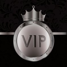 VIP design vector illustration N35