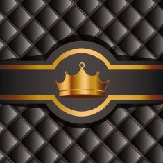 VIP design vector illustration N36
