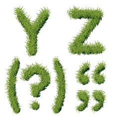 Green Grass Alphabet Y Z