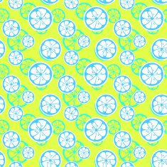 Abstract citrus fruit seamless pattern Vector illustration N2
