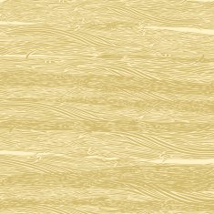 texture of wood N2