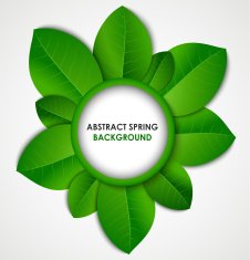 Abstract spring background with green leaves